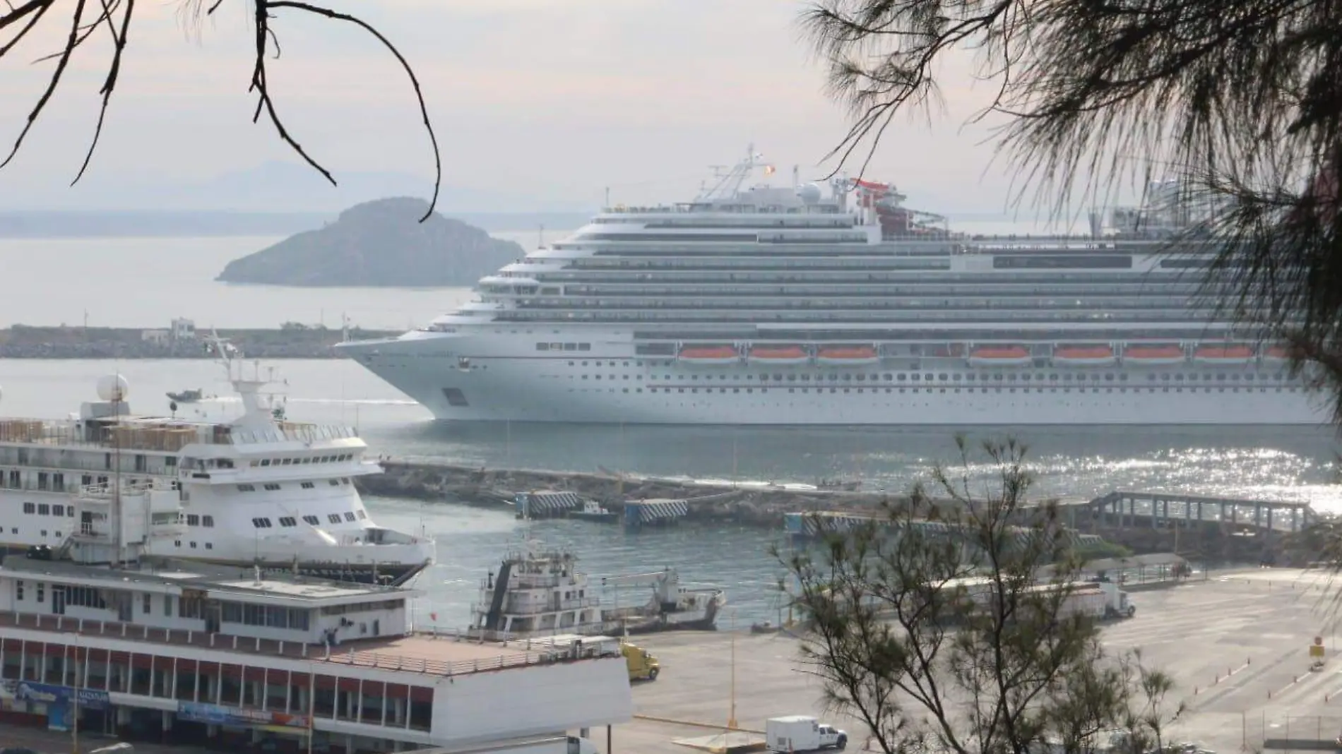 cruceros turísticos